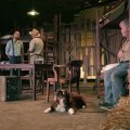 Peter Hilton, Angel Correa, Mauricio Zamora, Kirby (dog), Michael Dale Brown